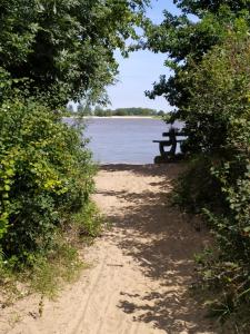 a dirt path with a picnic table in front of a lake at Storchennest Brake in Brake