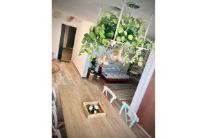 a hallway with a staircase with lots of plants at Muy cómodo y moderno departamento en Zona Andares in Guadalajara