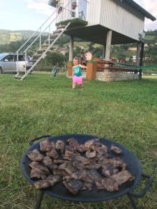 a little girl standing next to a barbecue grill at Begov kamp, Plav in Plav
