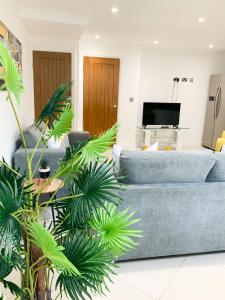 a living room with a blue couch and palm trees at Corbridge Road in Reading