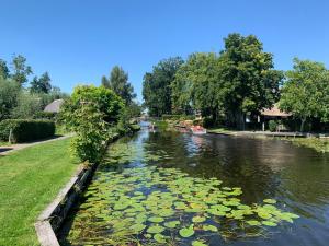 a river with lily pads on the water at Bed en Boomgaard in Giethoorn