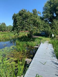 a walkway next to a pond with trees and grass at Bed en Boomgaard in Giethoorn +8 photos