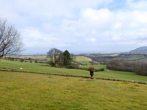 a field with a stone fence and a vase in the grass at White Rose Cottage in Robin Hood's Bay