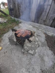 Gril dostupný pro hosty v vily