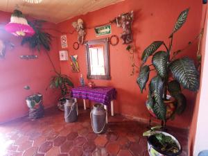 Galeriebild der Unterkunft La Casa del Abuelo in San Miguel de Allende + 37 Fotos