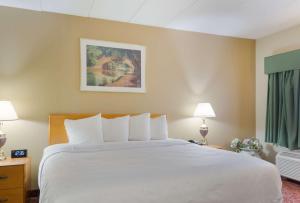 Postel nebo postele na pokoji v ubytování All Seasons Inn & Suites