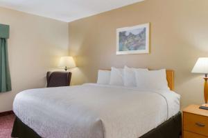 Postel nebo postele na pokoji v ubytování All Seasons Inn & Suites