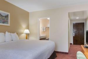 Postel nebo postele na pokoji v ubytování All Seasons Inn & Suites