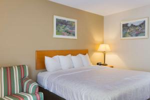 Postel nebo postele na pokoji v ubytování All Seasons Inn & Suites