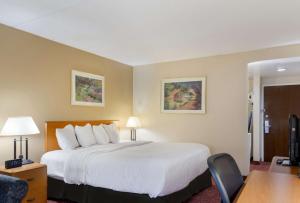 Postel nebo postele na pokoji v ubytování All Seasons Inn & Suites