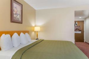 Postel nebo postele na pokoji v ubytování All Seasons Inn & Suites