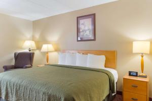 Postel nebo postele na pokoji v ubytování All Seasons Inn & Suites