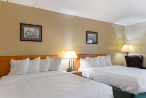 Postel nebo postele na pokoji v ubytování All Seasons Inn & Suites