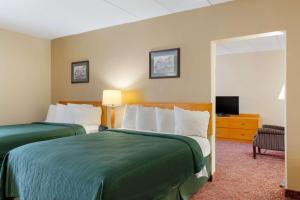 Postel nebo postele na pokoji v ubytování All Seasons Inn & Suites