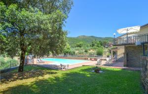 einen Hinterhof mit einem Pool und einem Baum in der Unterkunft Gorgeous Apartment In Castiglion Fiorentino With House A Panoramic View in Castiglion Fiorentino