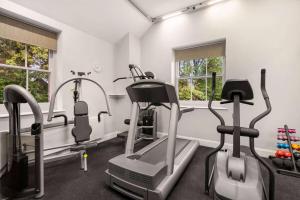 Fitness centrum a/nebo fitness zařízení v ubytování Trenython Manor Resort