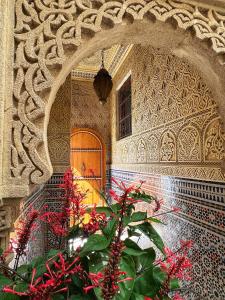 an entrance to a building with a door and a plant at Dar Rehab in Rabat