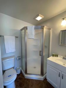 a bathroom with a shower and a toilet and a sink at Stone Hearth Inn and Eatery in Chester