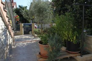 Fotografie z fotogalerie ubytování Apartment Novigrad 6979b v destinaci Novigrad – Istrie + 20 fotografií