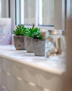 tre piante in vaso sedute su un bancone del bagno di Chapel Break, 2 Bed, 2 Bathroom House With Parking & Fast Wifi a Norwich