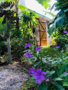 a garden with purple flowers in front of a house at Au cœur des montagnes in Capesterre-Belle-Eau