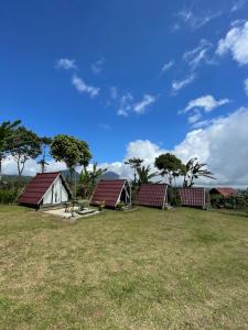 eine Gruppe von Häusern mit roten Dächern auf einem Feld in der Unterkunft Bugo Camp Glamping & Natural Activity in Munduk