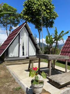 una pequeña casa con banco y ventana en Bugo Camp Glamping & Natural Activity, en Munduk