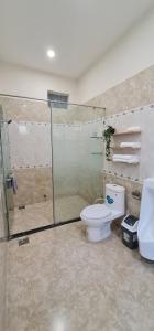 uma casa de banho com um chuveiro, um WC e um lavatório. em Châu Gia Villa Vũng Tàu - Có chỗ đậu xe hơi em Vung Tau