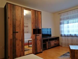 Televízia a/alebo spoločenská miestnosť v ubytovaní Apartment GINA