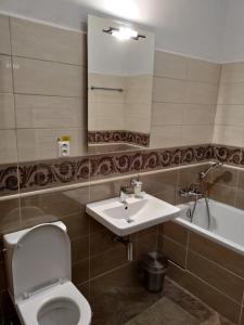 a bathroom with a toilet and a sink and a mirror at Kaštieľ Ottlýk in Bánovce nad Bebravou