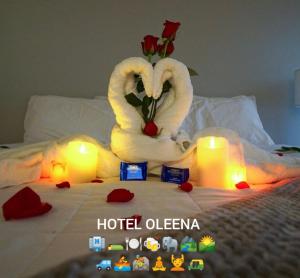 Postel nebo postele na pokoji v ubytování Oleena Home Stay