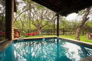 a swimming pool in a house with trees at Shebamona No loadshedding in Marloth Park