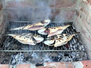 a group of fish cooking on a grill at Guesthouse Trogir Proto-Free parking in Trogir