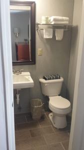 a bathroom with a toilet and a sink and a mirror at Royal Inn Motel in Watertown
