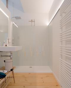 een badkamer met een douche en een wastafel bij La Maison de Chestret in Luik