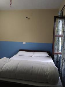una camera con un letto bianco e una parete blu di Diya's Guest House a Bandipur