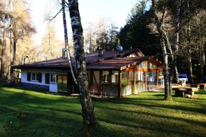 a house in the middle of a field with trees at Albergo Pineta in Castello di Fiemme +16 photos
