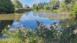 Výhled na jezero nedaleko farmy