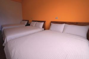 En eller flere senge i et værelse på Taitung city-cottage B&B