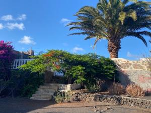 a palm tree and stairs with a palm tree at Casa Palmeral in Mácher
