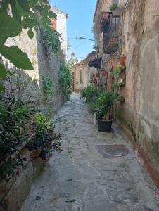 Une allée avec des plantes sur le côté d'un bâtiment dans l'établissement La locanda dei baroni, à Lustra