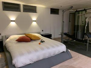 Posteľ alebo postele v izbe v ubytovaní Joli Loft dans Villa à Cornas
