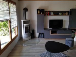 a living room with a fireplace and a television at Feriendomizil am Zeulenrodaer Meer in Zadelsdorf