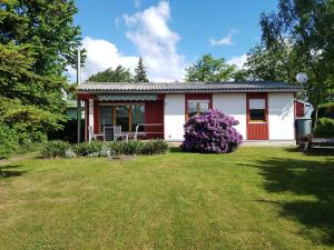 une petite maison rouge et blanche avec une cour dans l'établissement Feriendomizil am Zeulenrodaer Meer, à Zadelsdorf