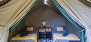 ein Zelt mit zwei Betten und einer Statue darin in der Unterkunft The Wild - Glamping in Wilderness in Wilderness