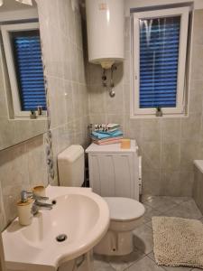 bagno con lavandino, servizi igienici e finestre di Dolores Apartment a Opatija