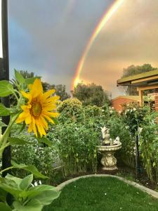 einen Regenbogen über einem Garten mit Sonnenblume und Statue in der Unterkunft Bakery Park Motor Inn in Tocumwal