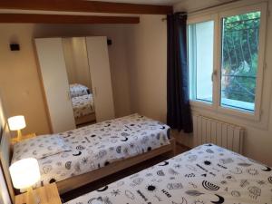 a bedroom with two beds and a mirror at Gîte de Fanny du Moulin de Tartay en Avignon in Avignon