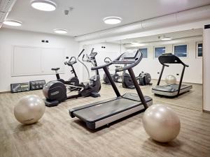Fitness centrum a/nebo fitness zařízení v ubytování Hotel Shandranj