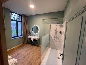 La salle de bains est pourvue d'une douche et d'un lavabo. dans l'établissement Hôtel Maison Demelenne, à Hotton